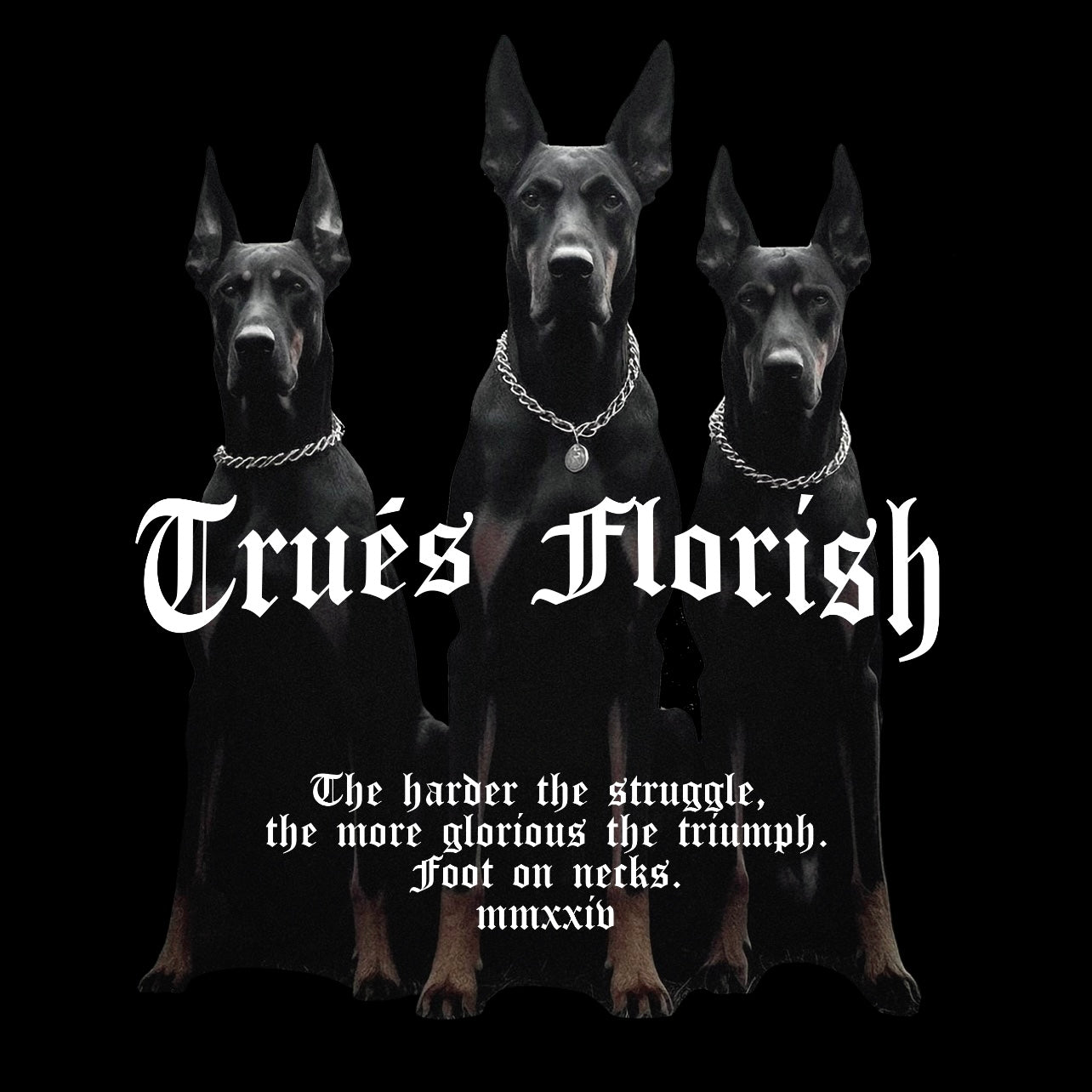 TRIUMPH TEE image 1