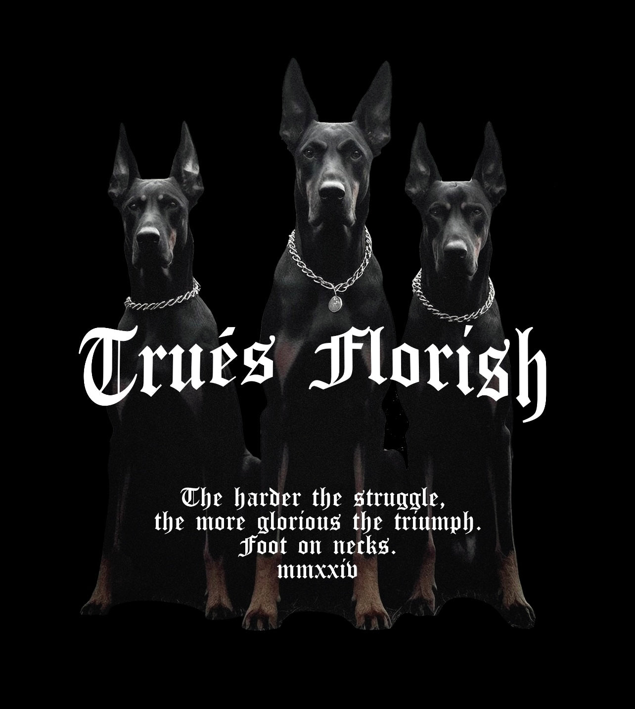 TRIUMPH TEE image 1