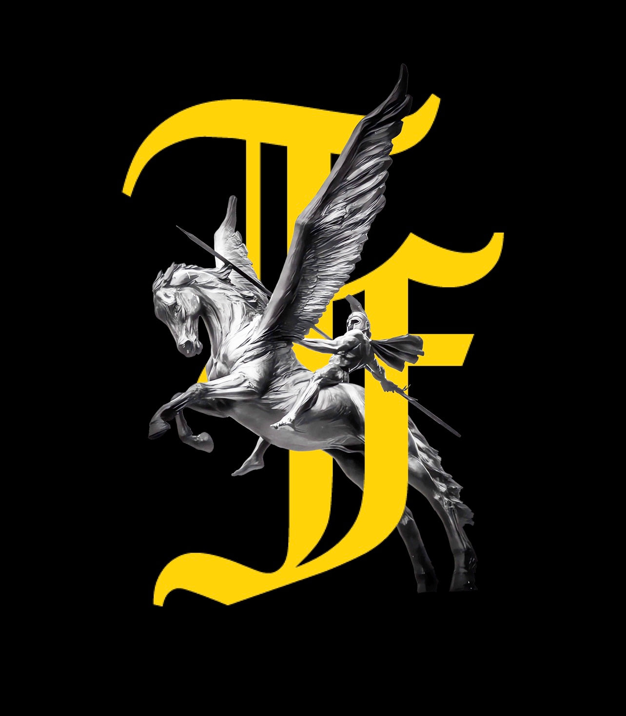 PEGASUS HEAVY WEIGHT TEE image 2