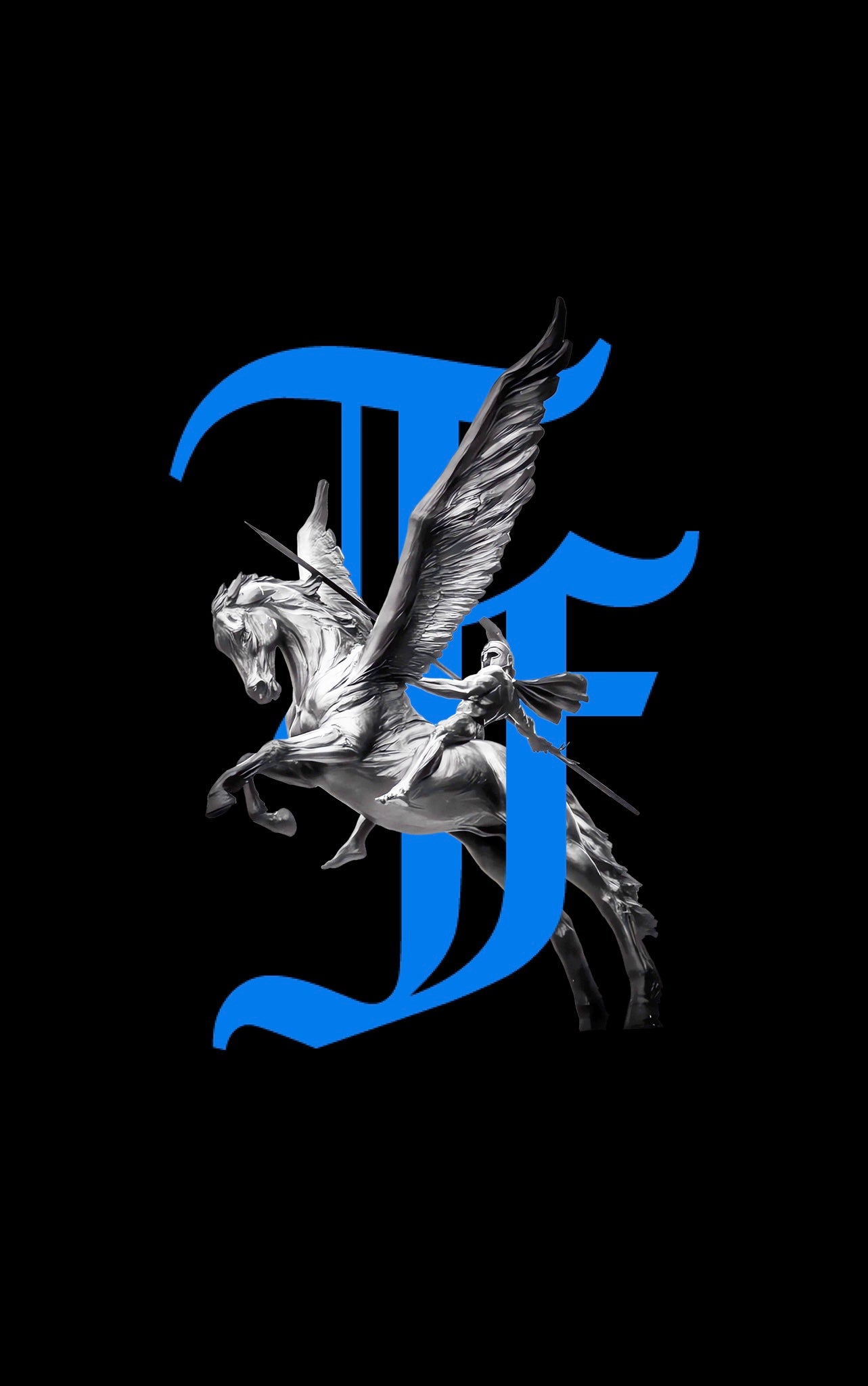 PEGASUS HEAVY WEIGHT TEE  image 2