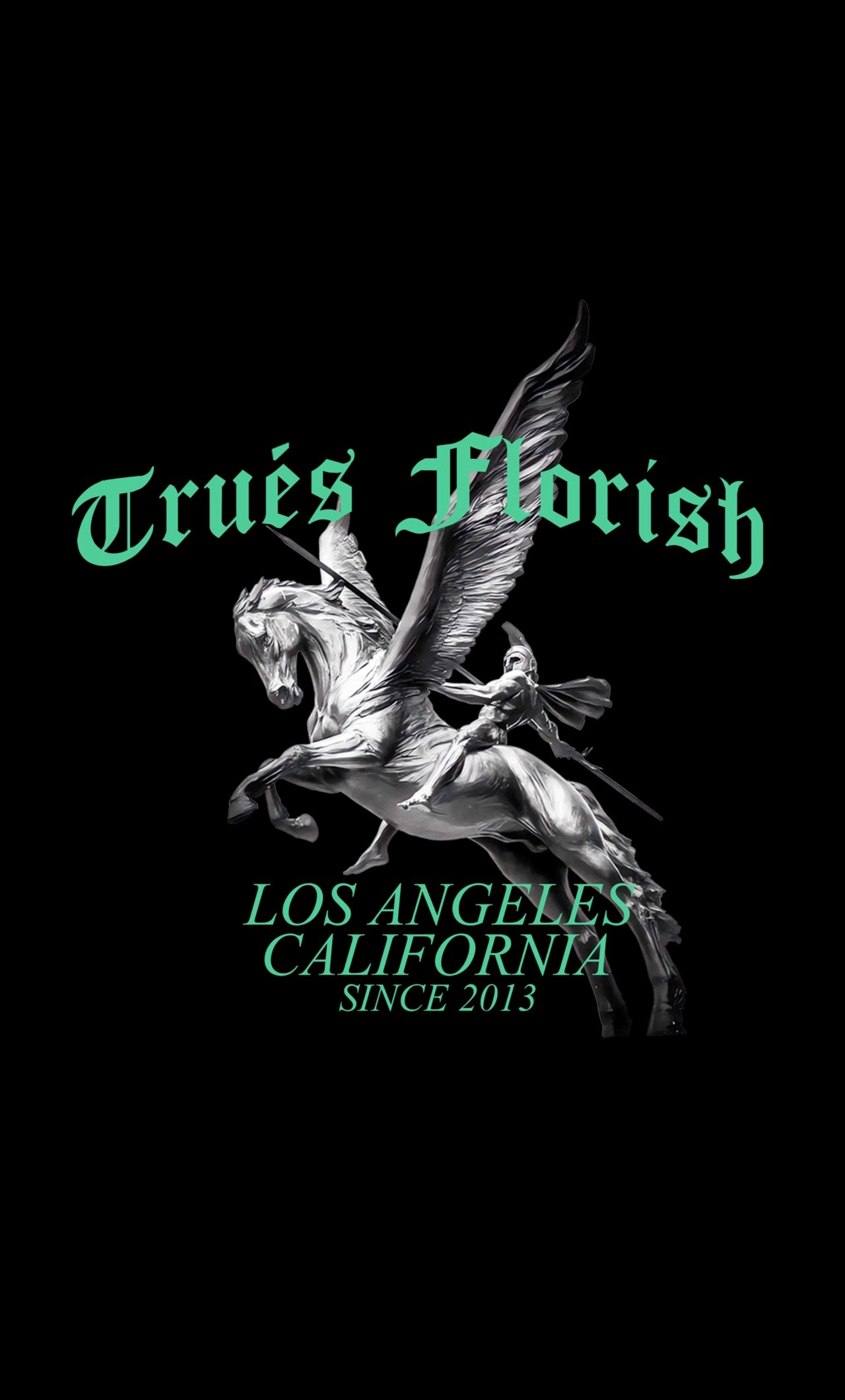 PEGASUS HEAVY WEIGHT TEE image 3