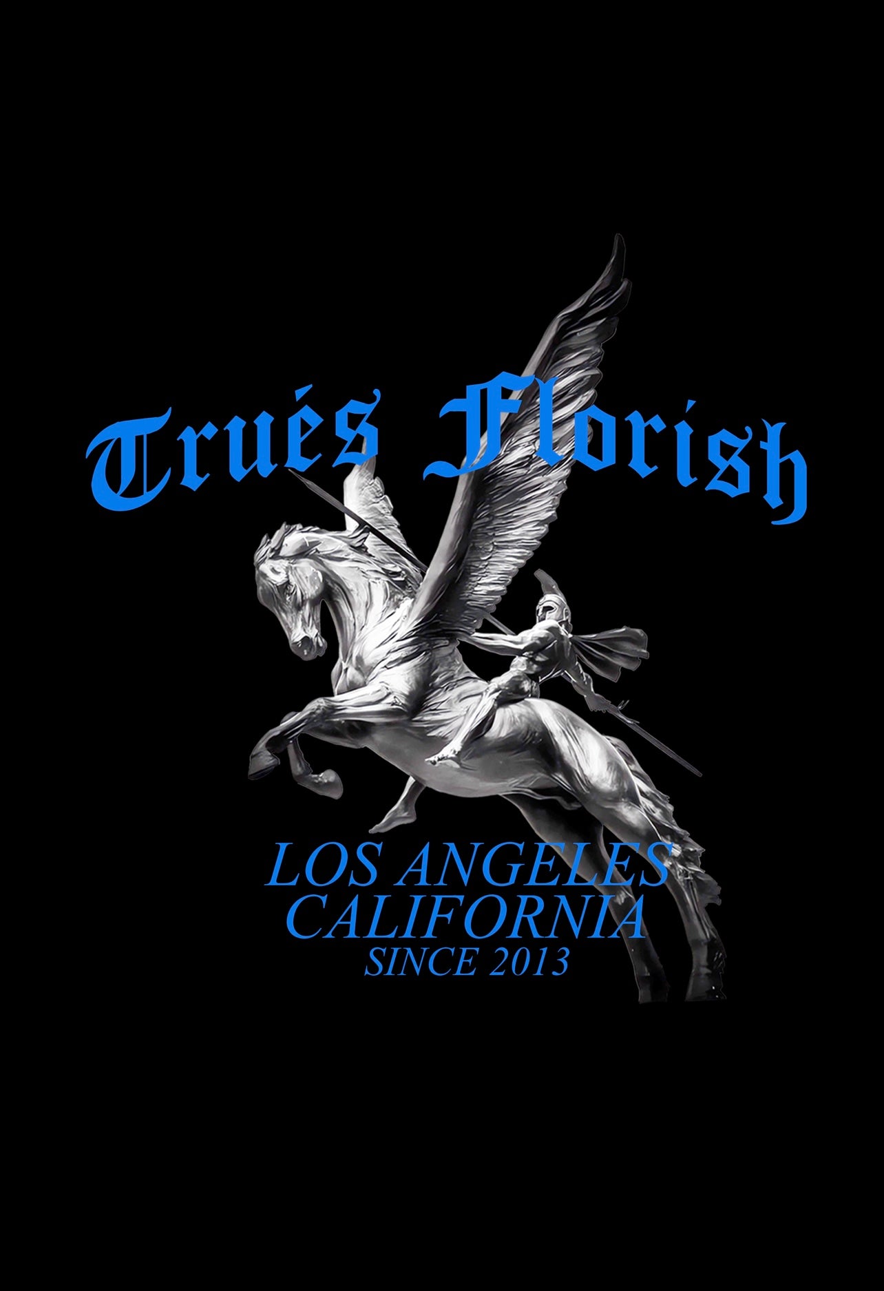 PEGASUS HEAVY WEIGHT TEE  image 3