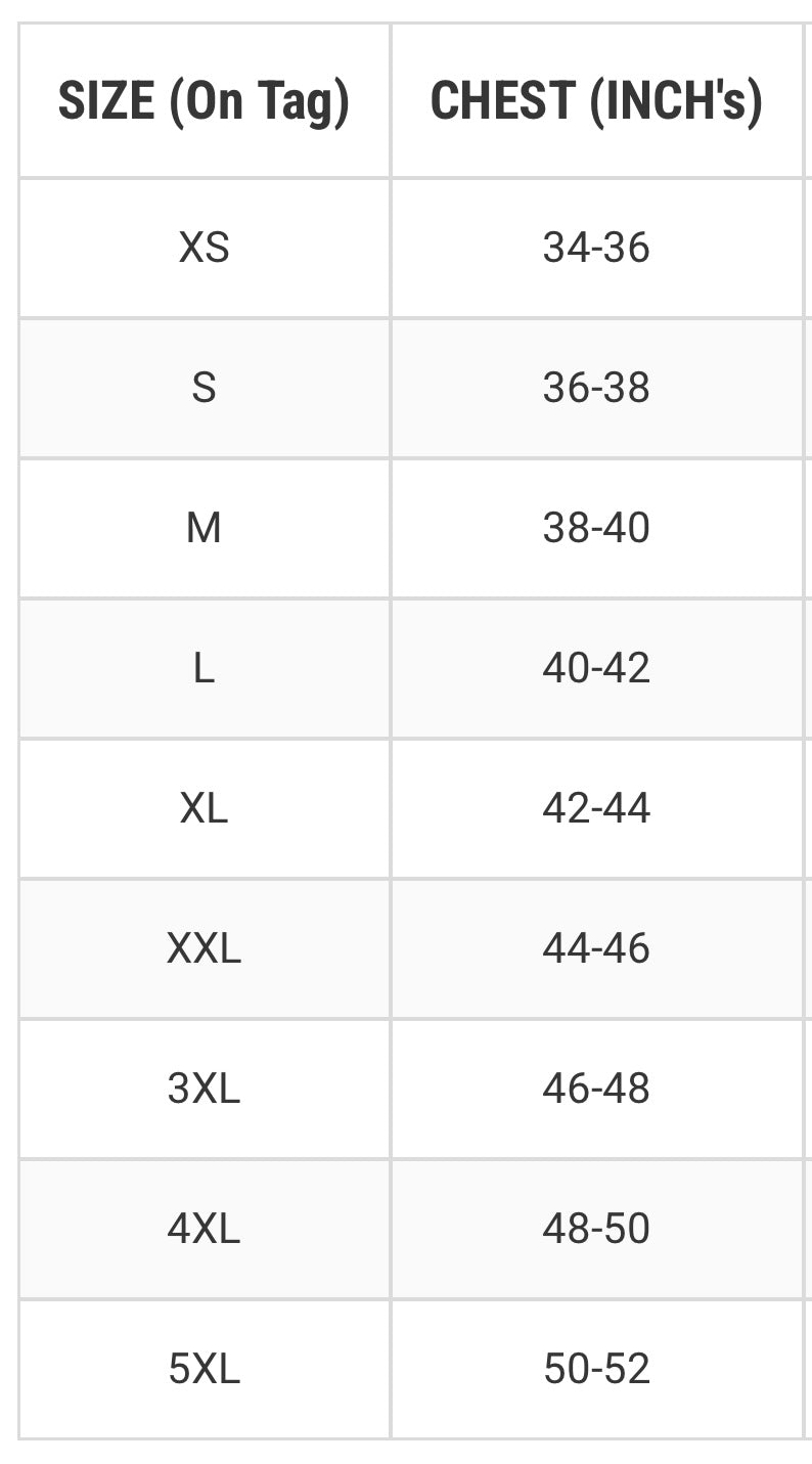 LOS ANGELES CHROME PULLOVER HOODIE image 1