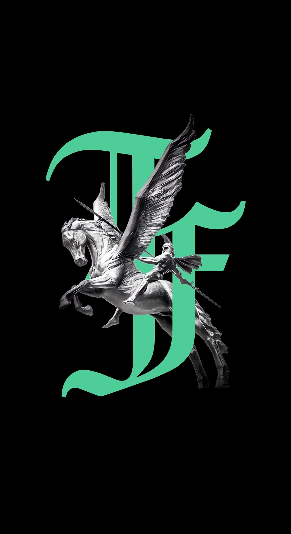 PEGASUS HEAVY WEIGHT TEE image 2