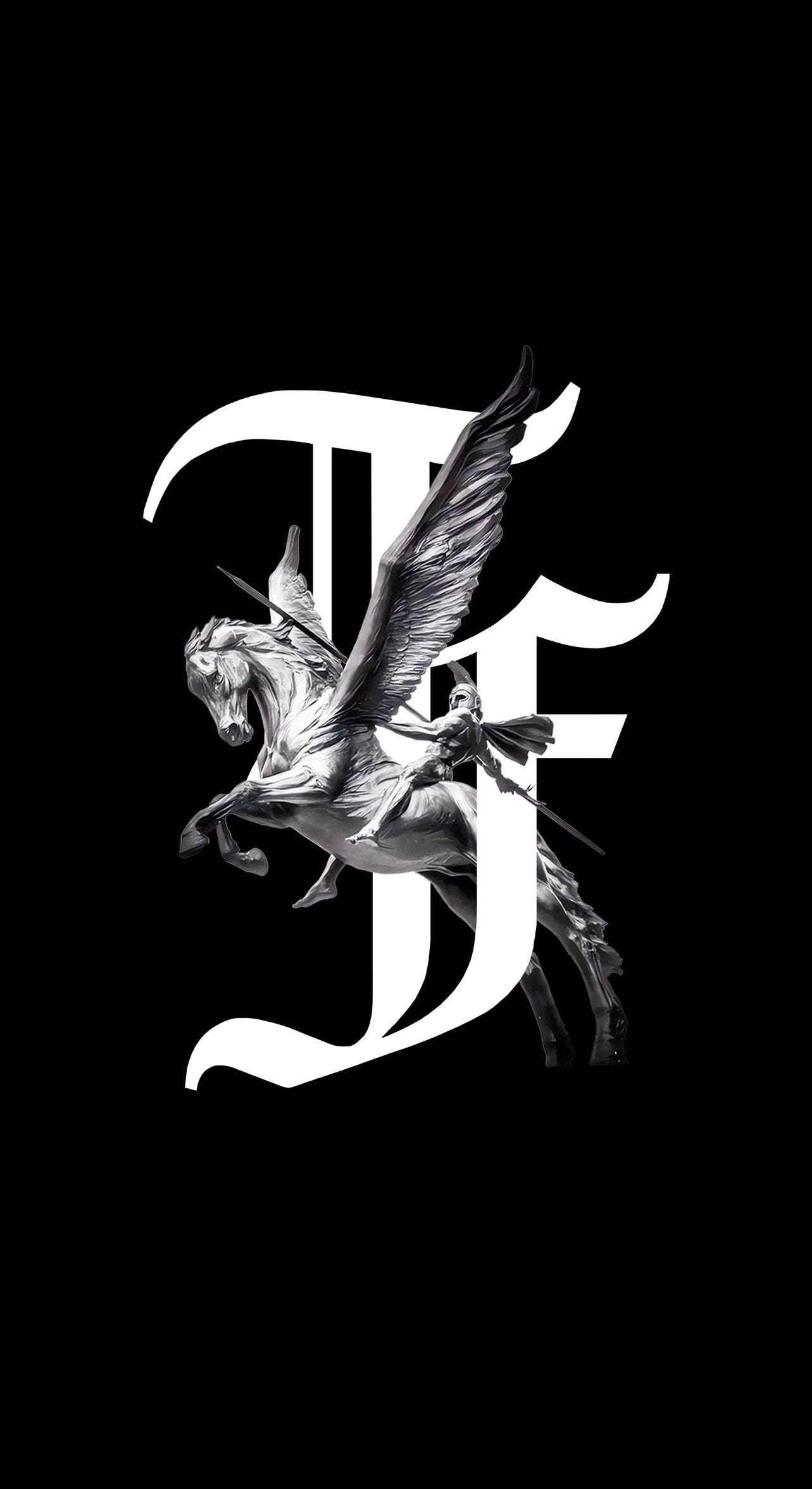 PEGASUS HEAVY WEIGHT TEE image 3