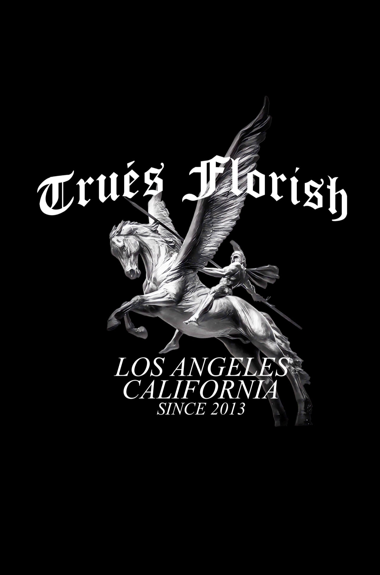 PEGASUS HEAVY WEIGHT TEE image 2